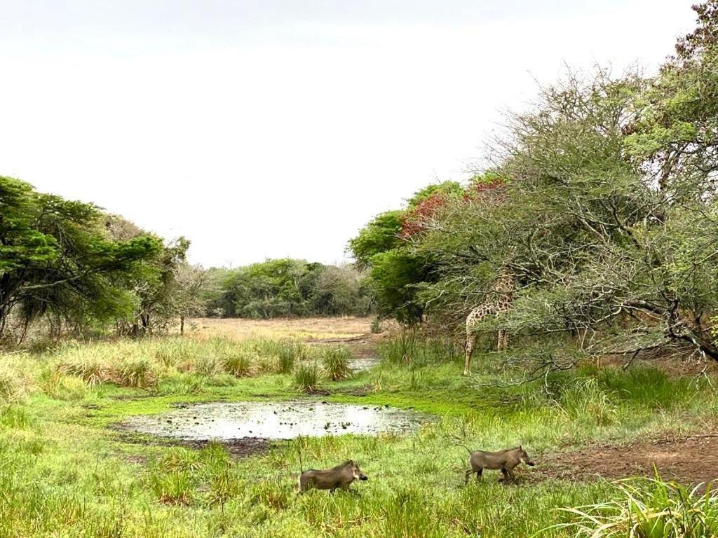 Hideaways Lazuli Bush Lodge, Hluhluwe Exteriör bild