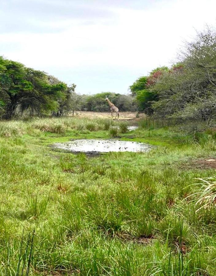 Hideaways Lazuli Bush Lodge, Hluhluwe Exteriör bild